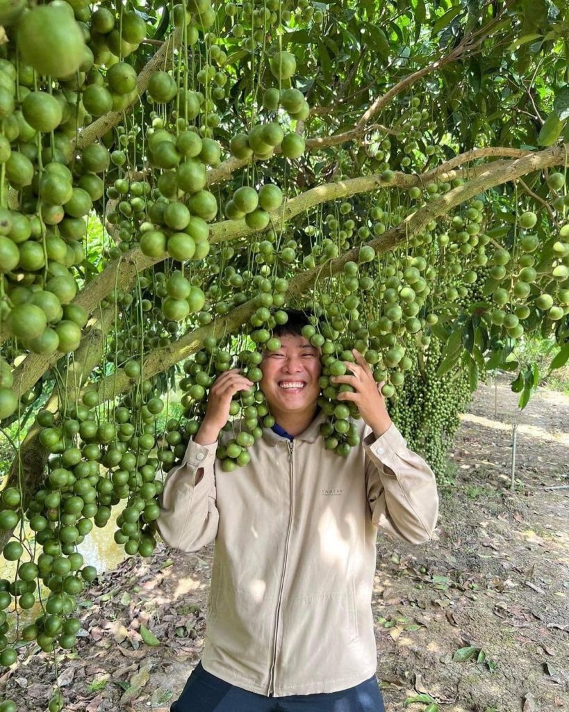 Thuê xe 7 chỗ Ngã Bảy Hậu Giang đi Cần Thơ 